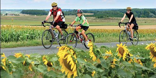 Sonhar com o ciclismo
 9395