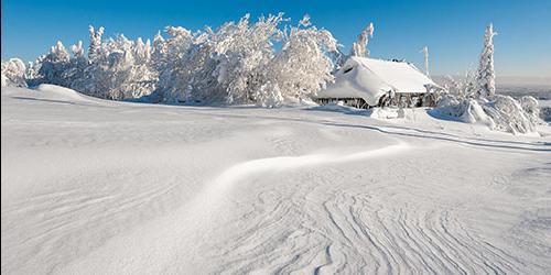 Porque é que sonho com neve branca?
 8578