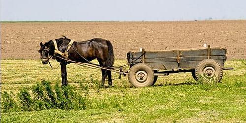 Sonho de um cavalo e de uma carroça
 1717