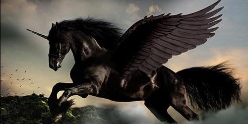 Pegasus de sonho
 2591