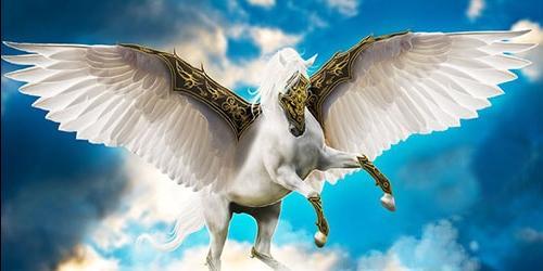 Pegasus de sonho
 6612