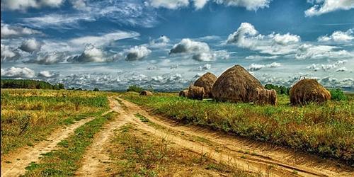 Sonho de uma estrada de campo
 5466