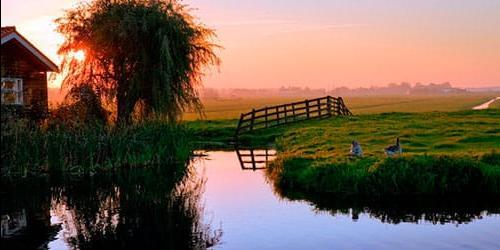 Porque é que sonho com um lago?