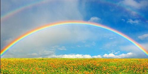 Sonho de um arco-íris no céu
 8804