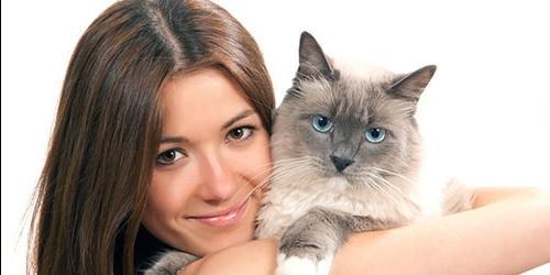 Sonha com um gato cinzento ou com um gato? Era grande e fofo, agarrado e acariciado? Interpretação de sonhos para mulheres, homens e raparigas de acordo com diferentes livros de sonhos.