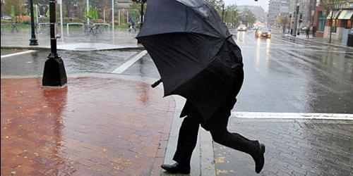 O que é que sonho com chuva forte numa chuva torrencial?
 5075