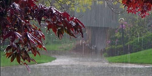 O que é que sonho com chuva forte numa chuva torrencial?
 2577