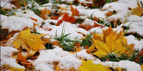 Porque é que sonho com neve fora da minha janela?