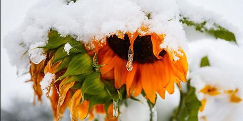 Porque sonho com a neve no Verão?