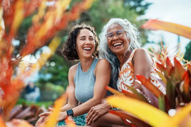 Interpretação dos Sonhos: Viver e Ser Vivo