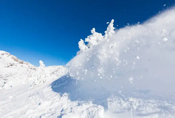 Interpretação dos Sonhos: Avalanche