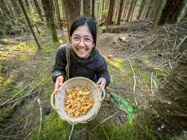 Interpretação dos Sonhos com Chanterelles