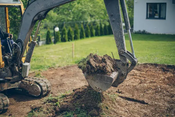 Interpretação dos Sonhos com Plantas de Casa