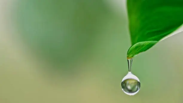 Interpretação dos Sonhos: Sonhar com Chuva Forte