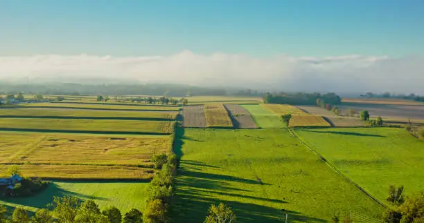 Interpretação dos Sonhos sobre a Fazenda