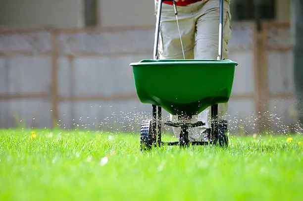 Interpretação dos Sonhos: Fertilizantes como Símbolos