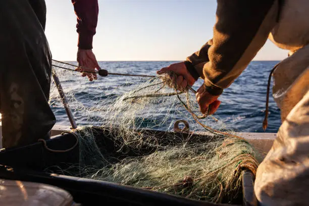 Interpretação de Sonhos sobre Pescadores