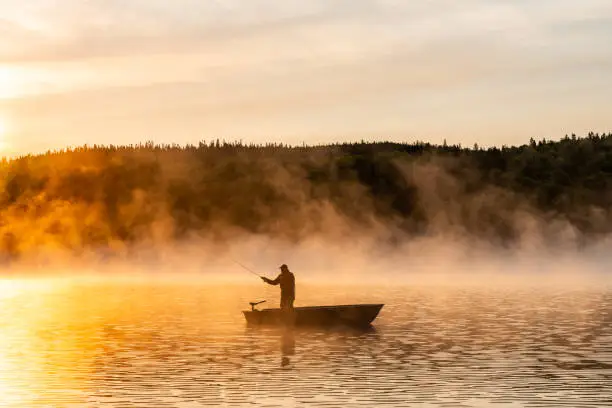 Interpretação dos Sonhos: Pesca e seus Significados