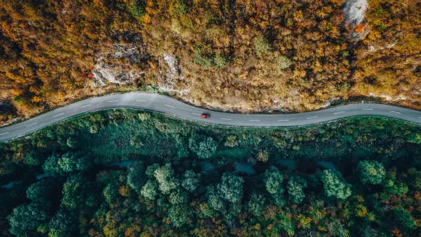 Interpretação dos Sonhos: A Perspectiva de um Oráculo