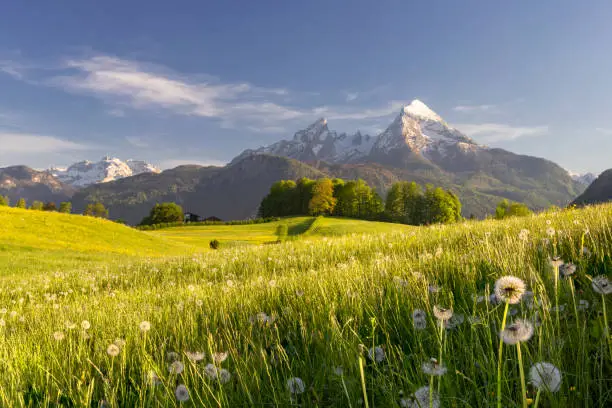 Interpretação de Sonhos: O Que Significa Sonhar com um Prado