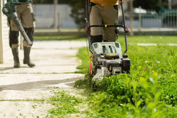 Interpretação de Sonhos sobre Cortar Grama