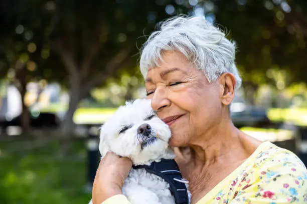 Interpretação dos Sonhos: Petting e seus Significados