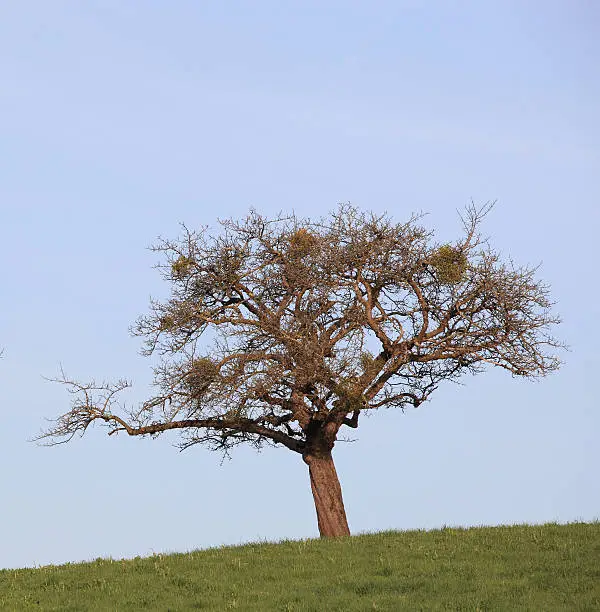 Interpretação dos Sonhos: O Que Significa Sonhar com Terras Aradas?