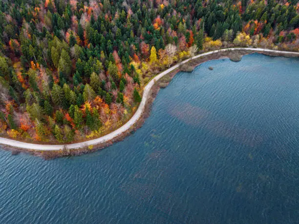 Interpretação dos Sonhos sobre um Lago: Perspectivas de Diferentes Dream Books