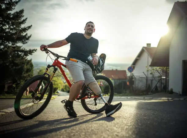 Interpretação dos Sonhos com Vespas: Significados e Simbolismos