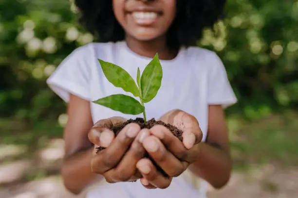 Interpretação dos Sonhos: Sementinha como Símbolo de Esperança e Crescimento