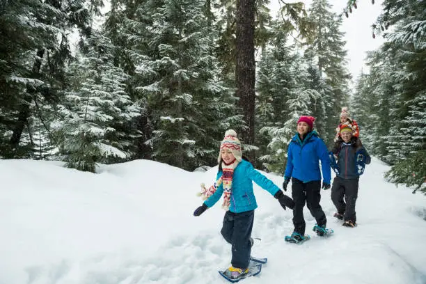 Interpretação dos Sonhos: Snowshoeing