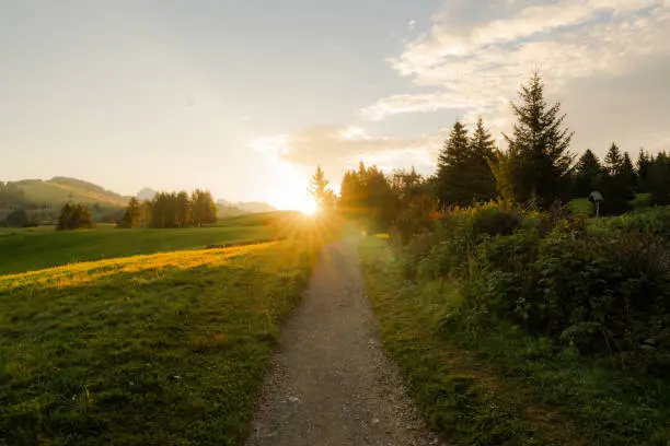 Interpretação dos Sonhos sobre o Amanhecer