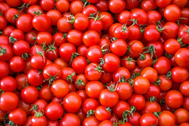 Interpretação dos Sonhos com Tomates