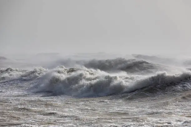 Interpretação de Sonhos: O Significado do Tsunami