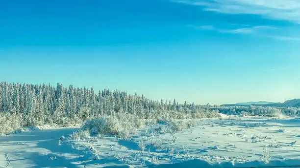 Interpretação dos Sonhos: Tundra como Símbolo e Significado